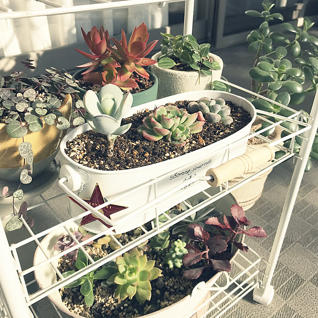 miyamiyaさんの実例写真