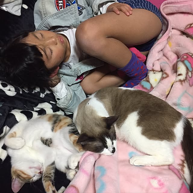 vivienne.coco-keiさんの実例写真