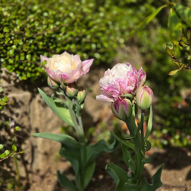 MARIE.color.interiorさんの部屋