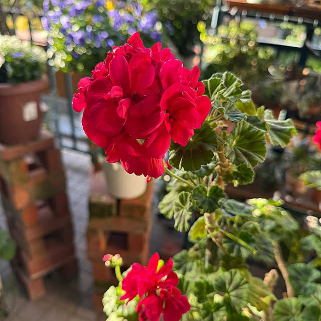 Aqettyさんの部屋