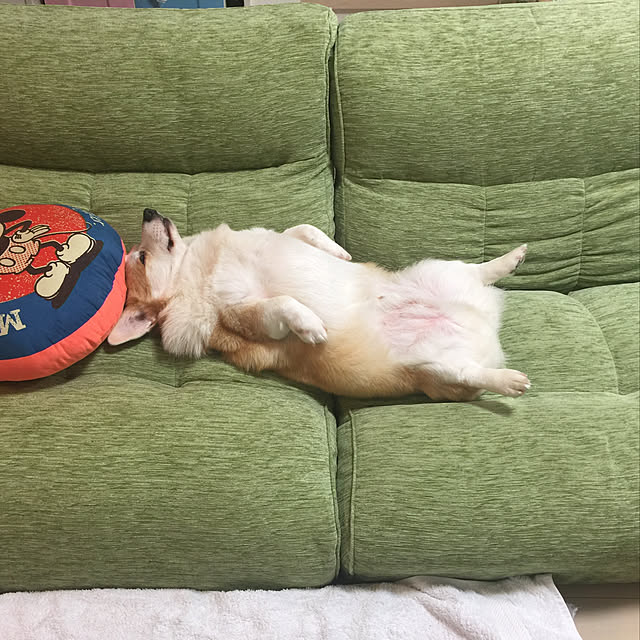 mihoさんの実例写真