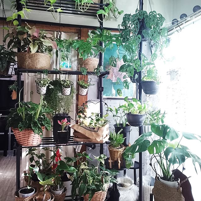 runaさんの実例写真