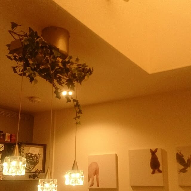 chameleon_style_martさんの実例写真