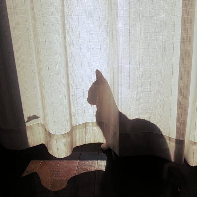 arahonis471さんの実例写真