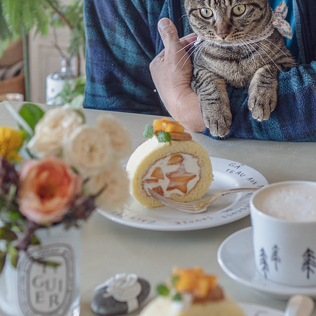 oliveさんの実例写真