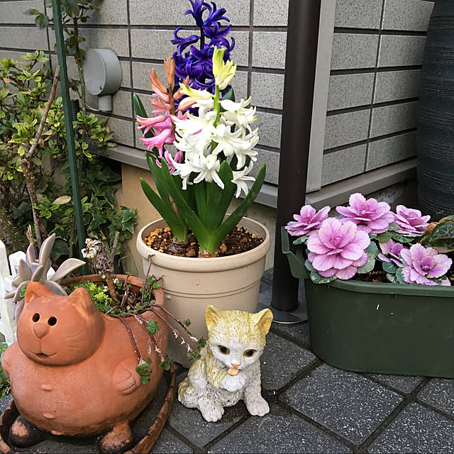 reonmamaさんの実例写真