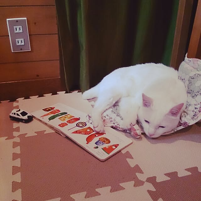 amifuuさんの実例写真