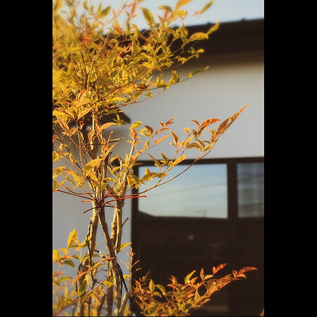 yu-tabさんの実例写真