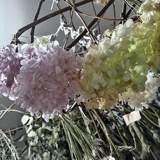 micaさんの部屋