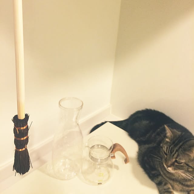 mikomaruさんの実例写真