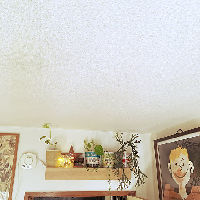 yomiyomiさんの実例写真
