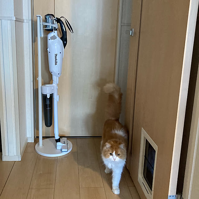 H.Tさんの実例写真