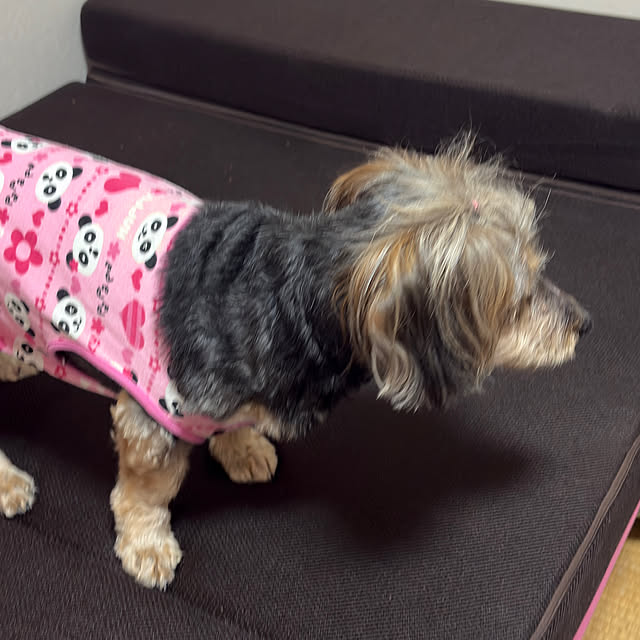 Annieさんの部屋
