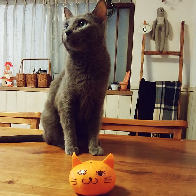 tomo1220さんの実例写真