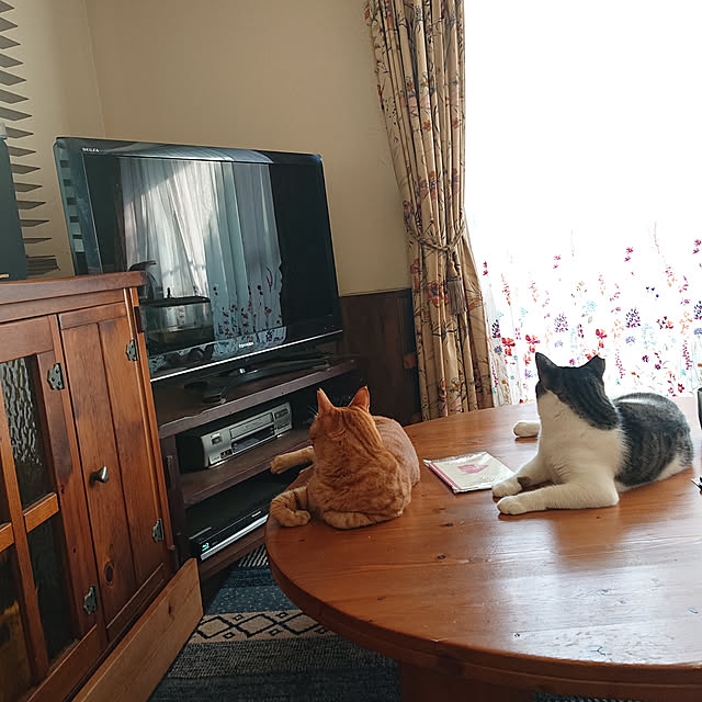 okyosan101さんの実例写真