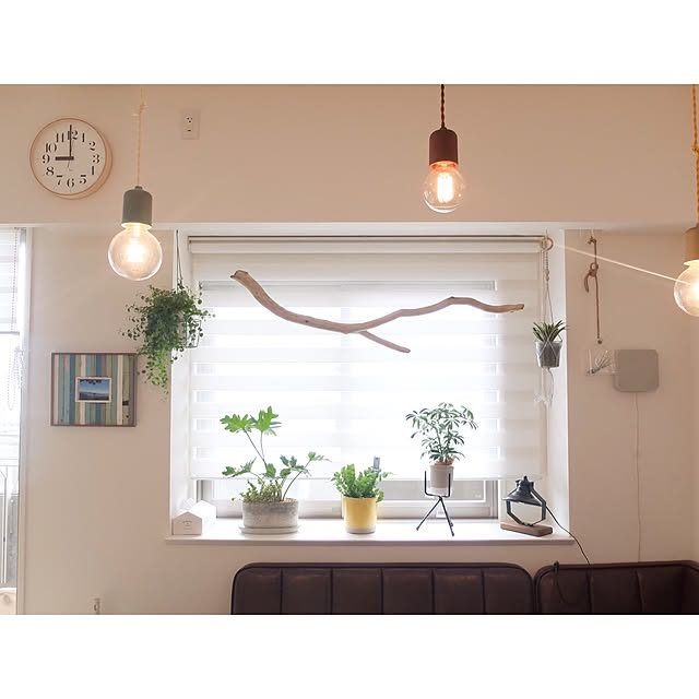hara0707さんの実例写真