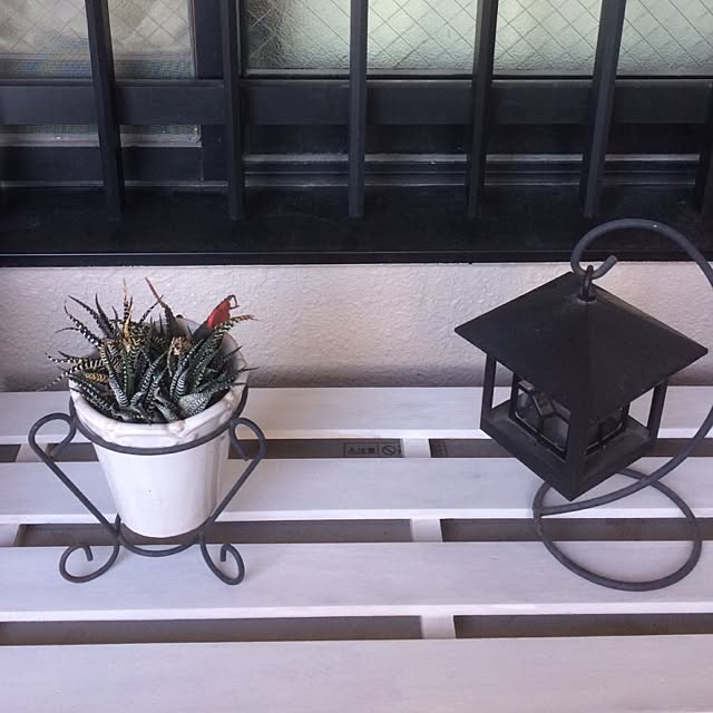 pingub_dさんの実例写真