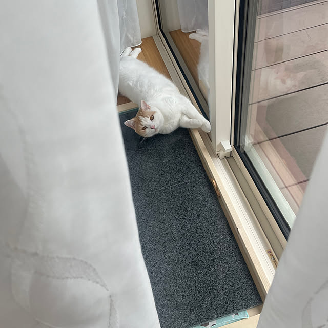 yumiさんの部屋