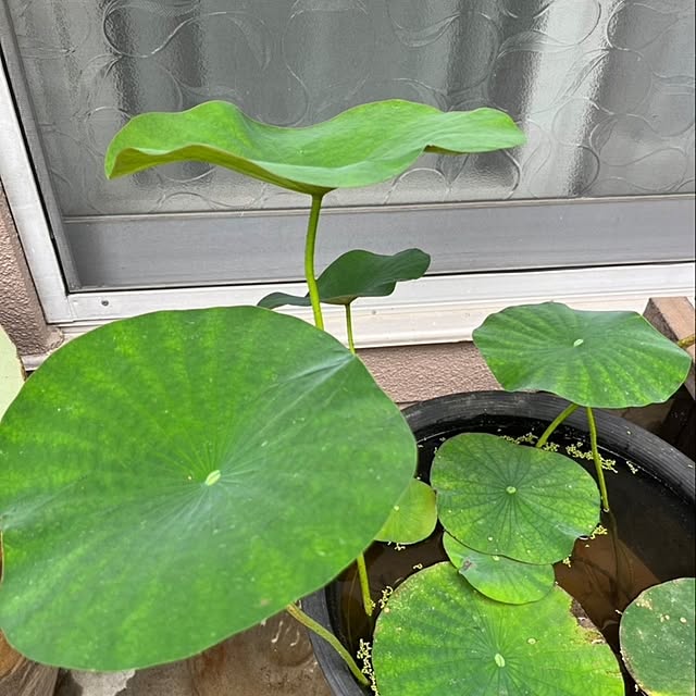 kimiさんの部屋