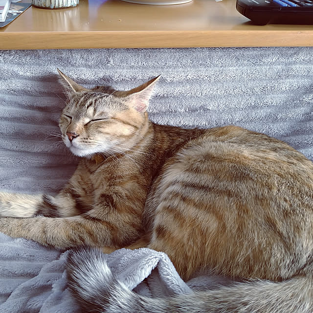 mamekoさんの実例写真