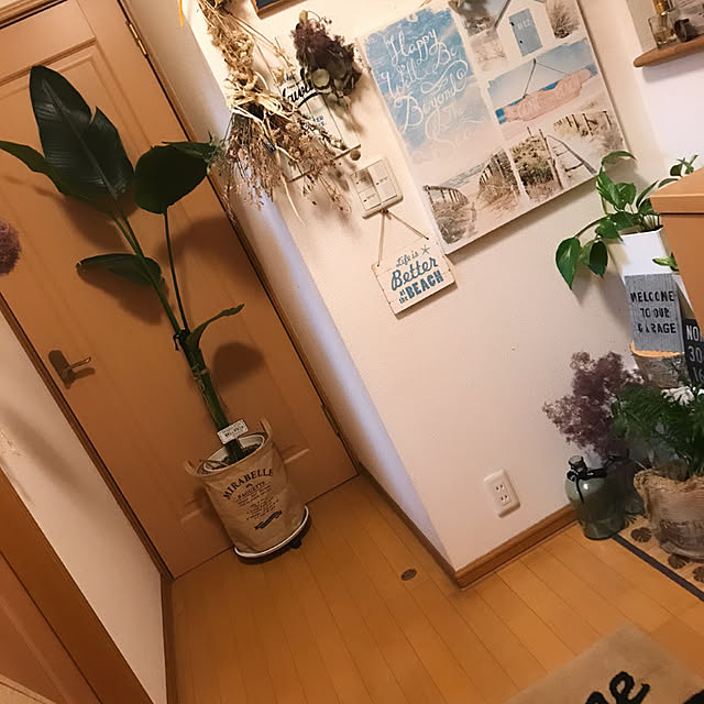 Akiさんの実例写真
