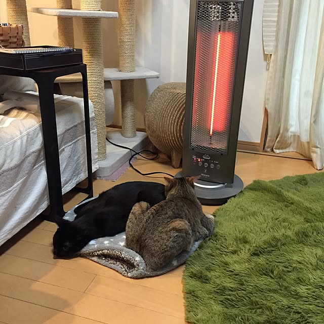 yuki0511さんの実例写真