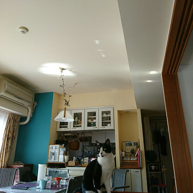okyosan101さんの実例写真