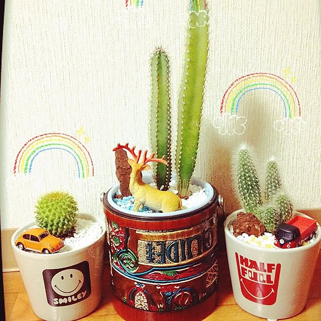 Emaさんの実例写真
