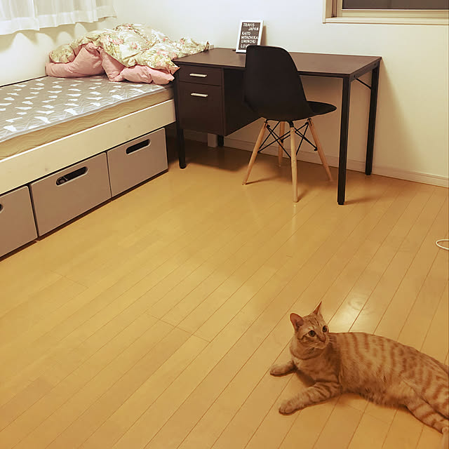 DAI.fukuさんの実例写真