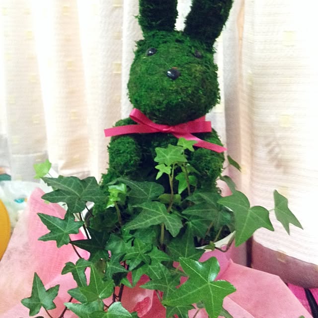 misakiさんの実例写真