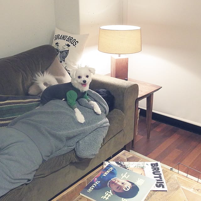 taka55さんの実例写真
