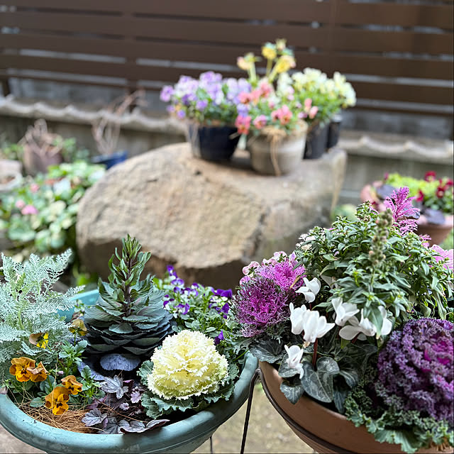 buchiさんの実例写真