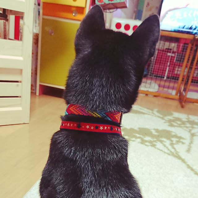xxxakyxxxさんの実例写真