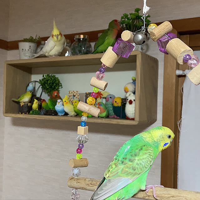 toratanさんの実例写真