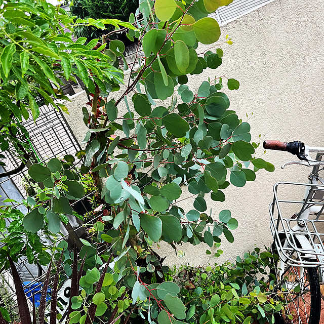 Mutsumiさんの部屋