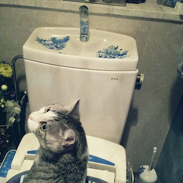 emmyyさんの実例写真