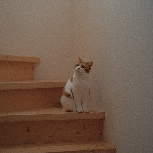 Coney_Island_NYさんの実例写真