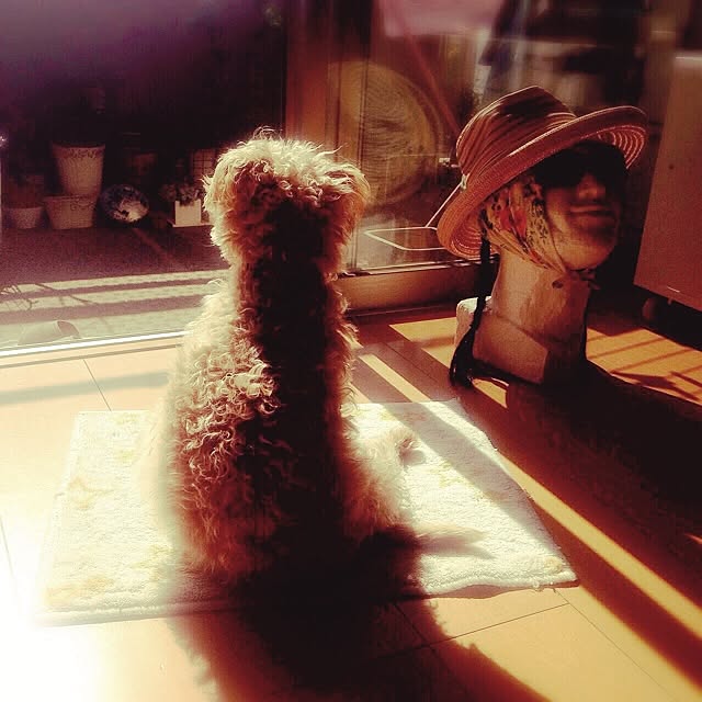 yさんの実例写真