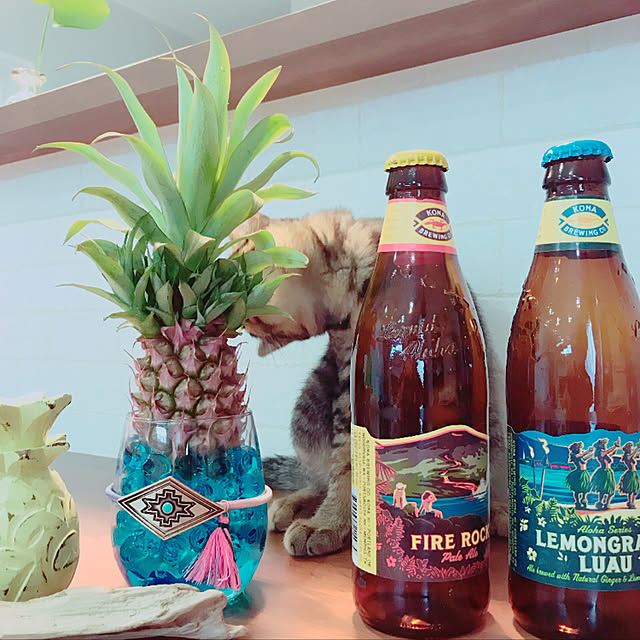 akkyさんの実例写真