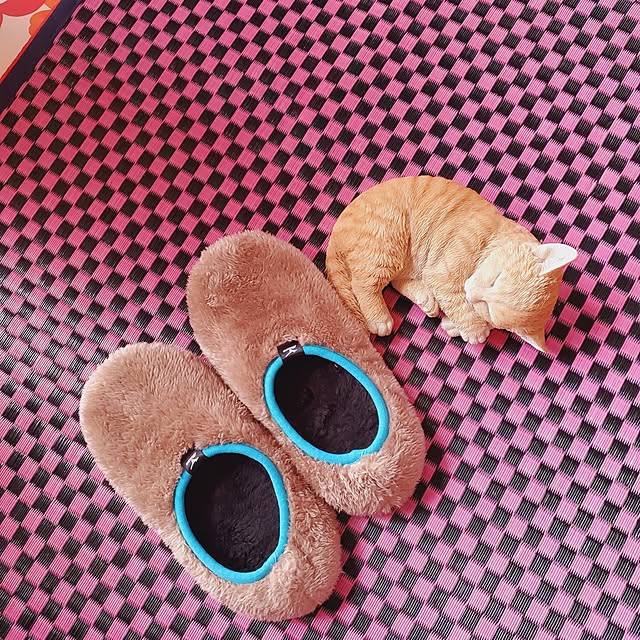 kumutanさんの部屋