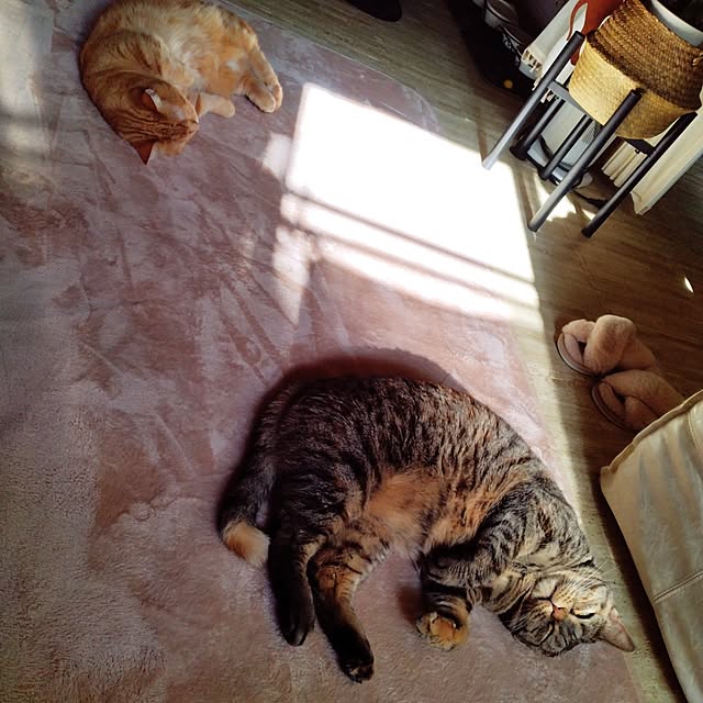 runaさんの実例写真