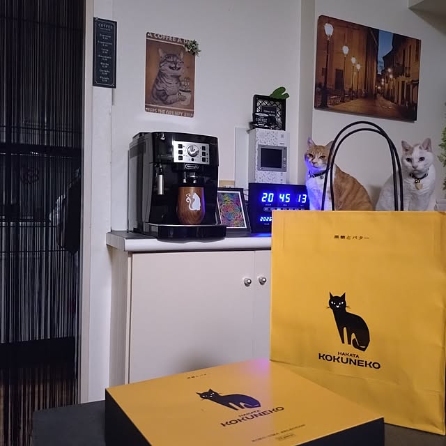 NOAHさんの実例写真