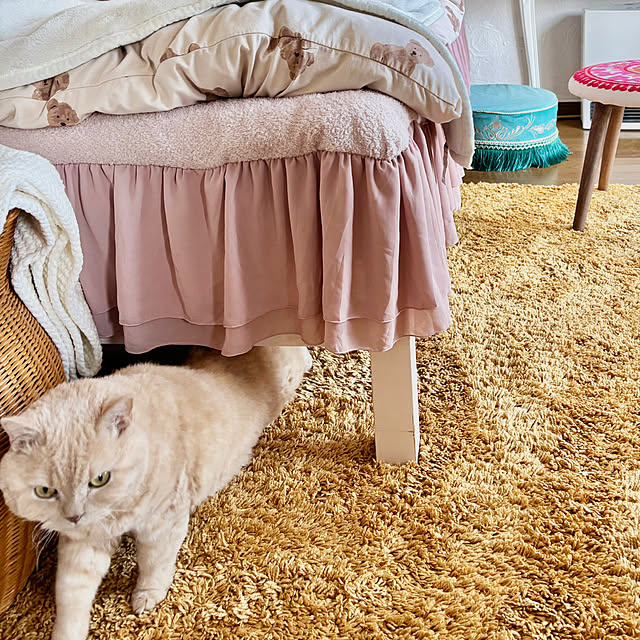 naokoさんの部屋