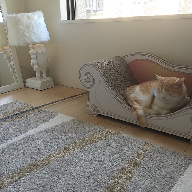 korinkorinさんの実例写真