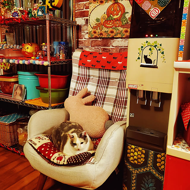 kumutanさんの実例写真