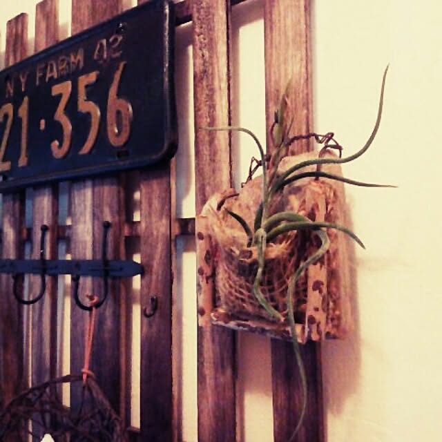 andante365さんの実例写真