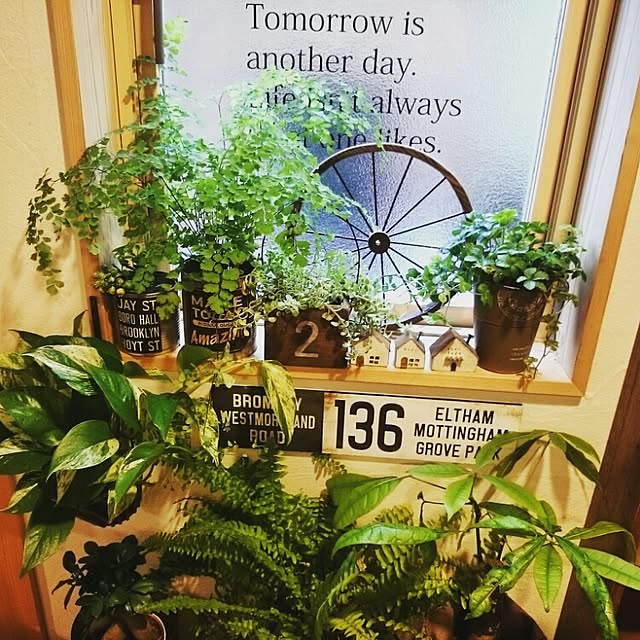 slow-lifeさんの実例写真