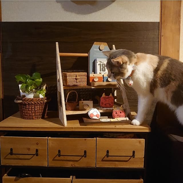fukuさんの実例写真