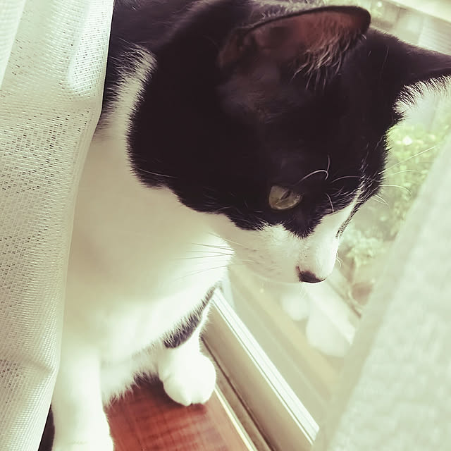 Eriさんの実例写真
