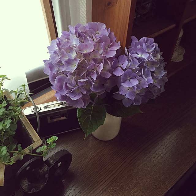 kikkoさんの実例写真